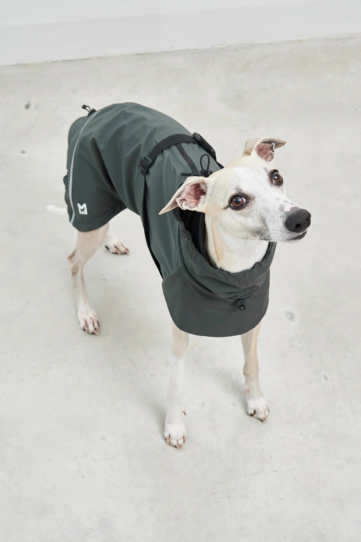 Valentina Rain Cloak