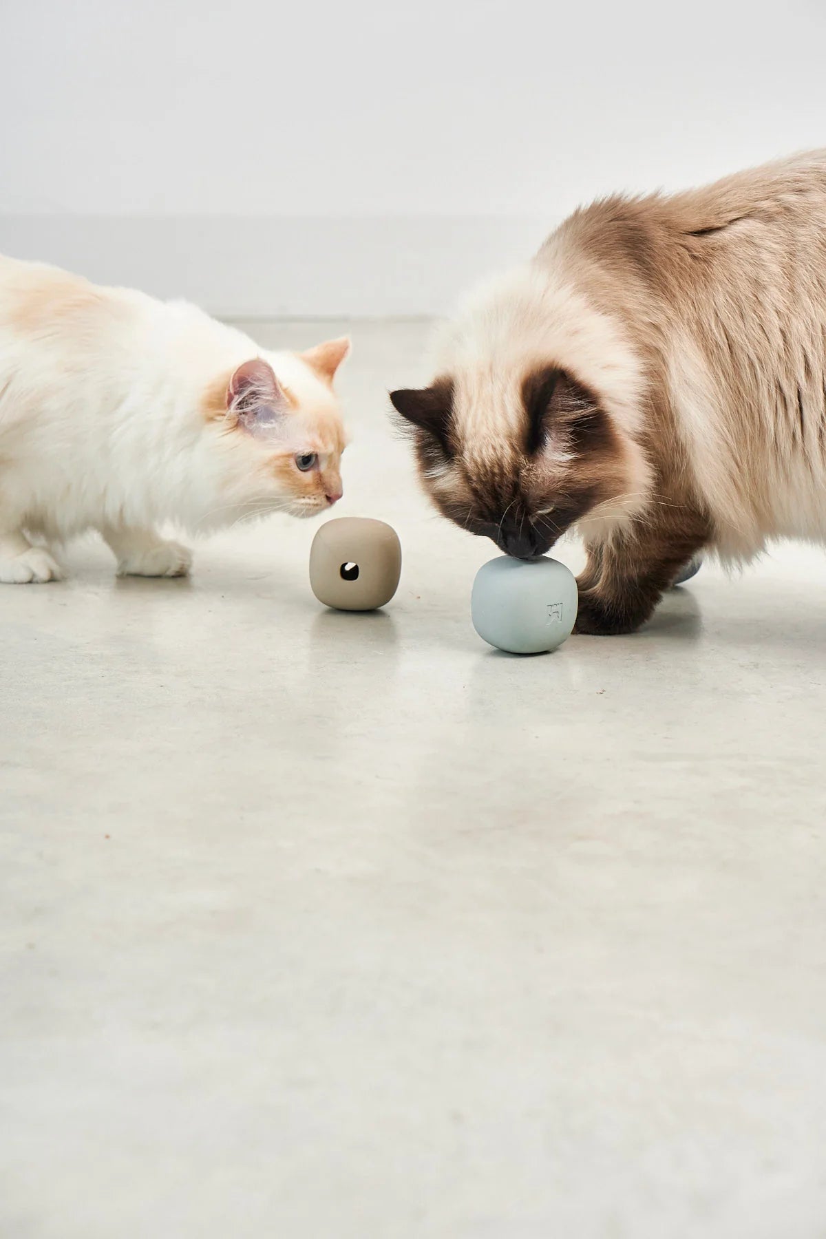 Rotolo Enrichment Roller