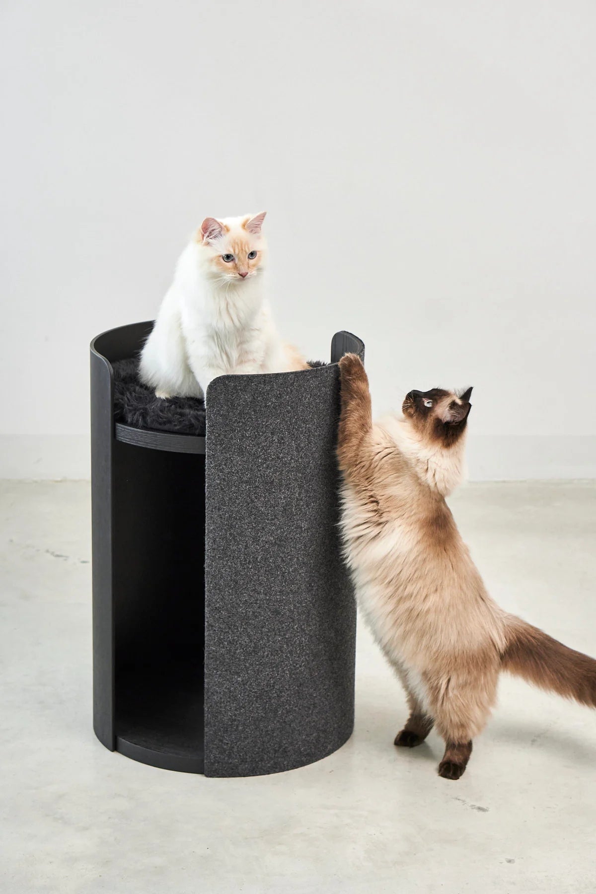 Torre Sculptural Tower