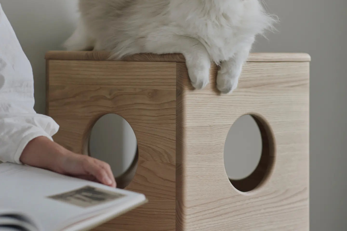 Sakura Sanctuary Nest