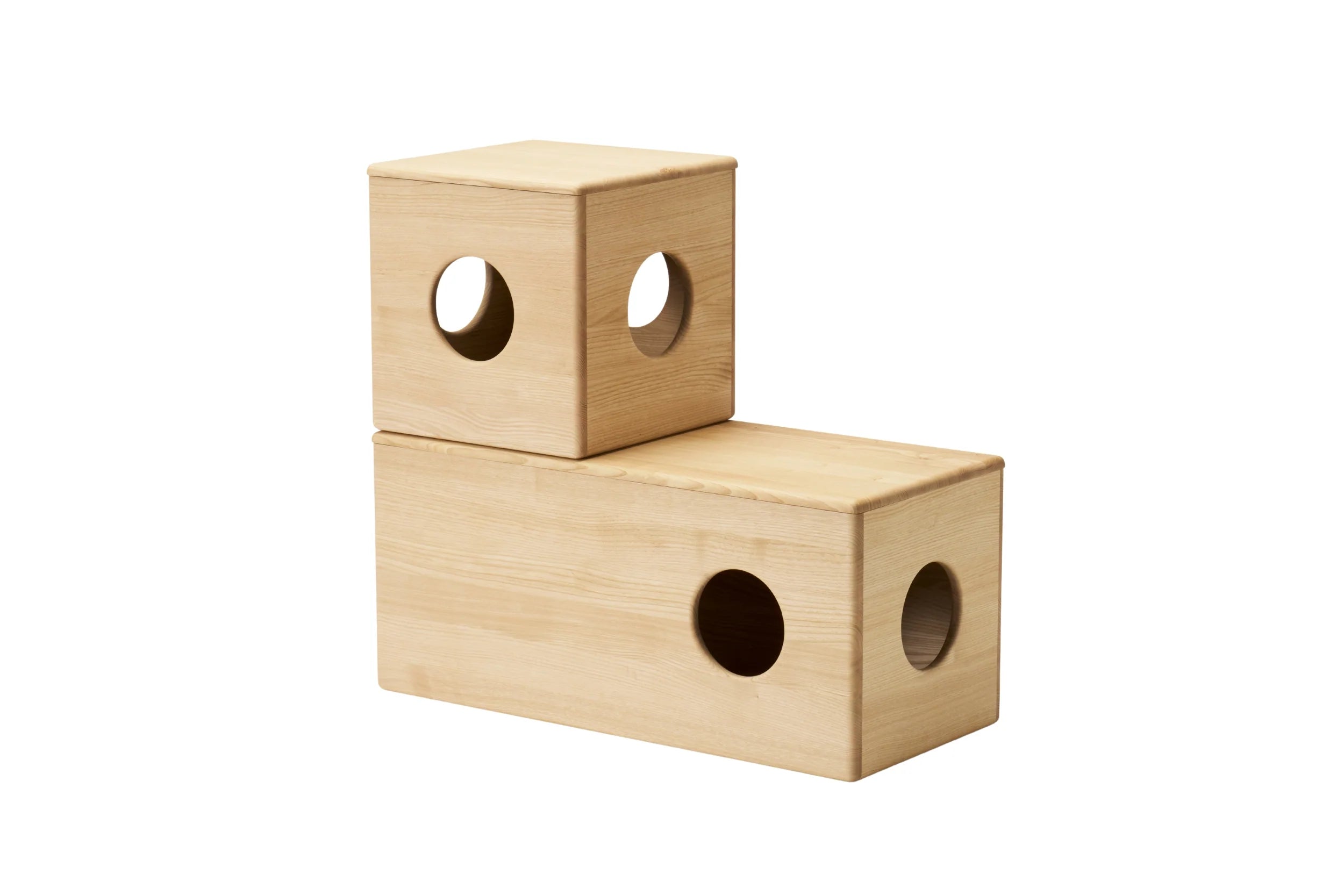 Sakura Sanctuary Nest