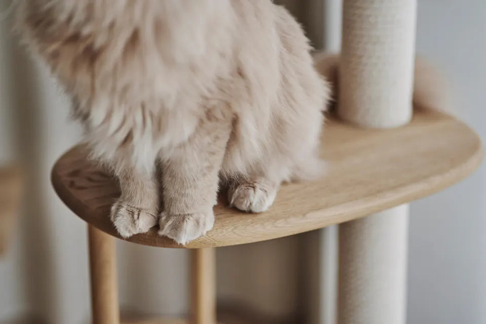 Kyoto Ascent Cat Tree