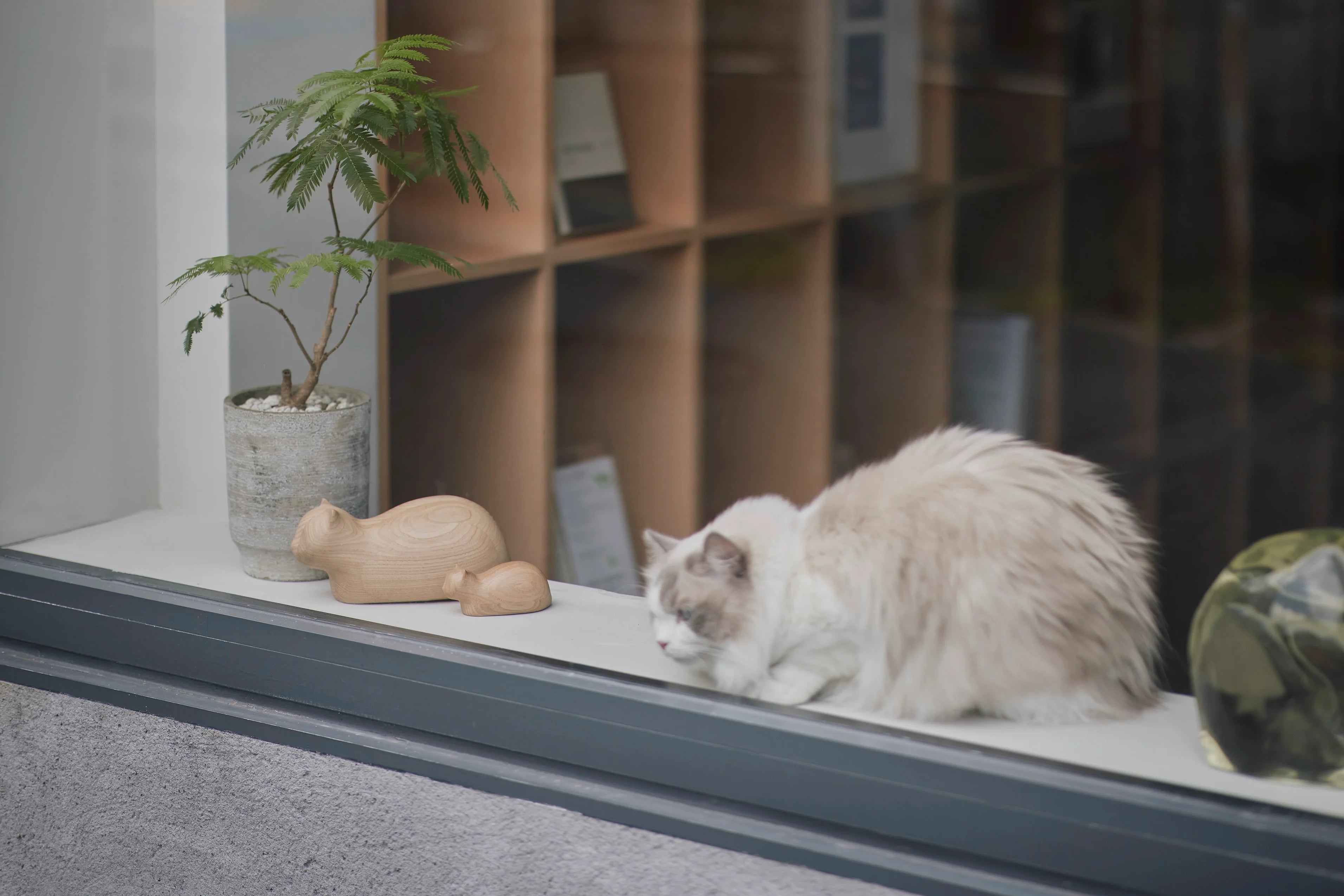Koubako Treasure Box