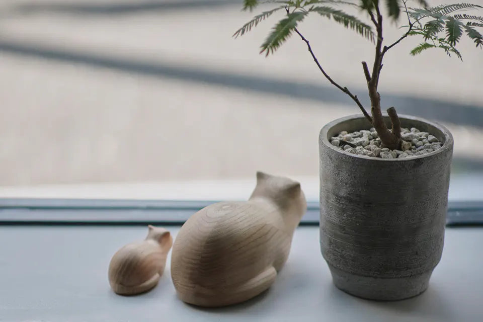 Koubako Treasure Box