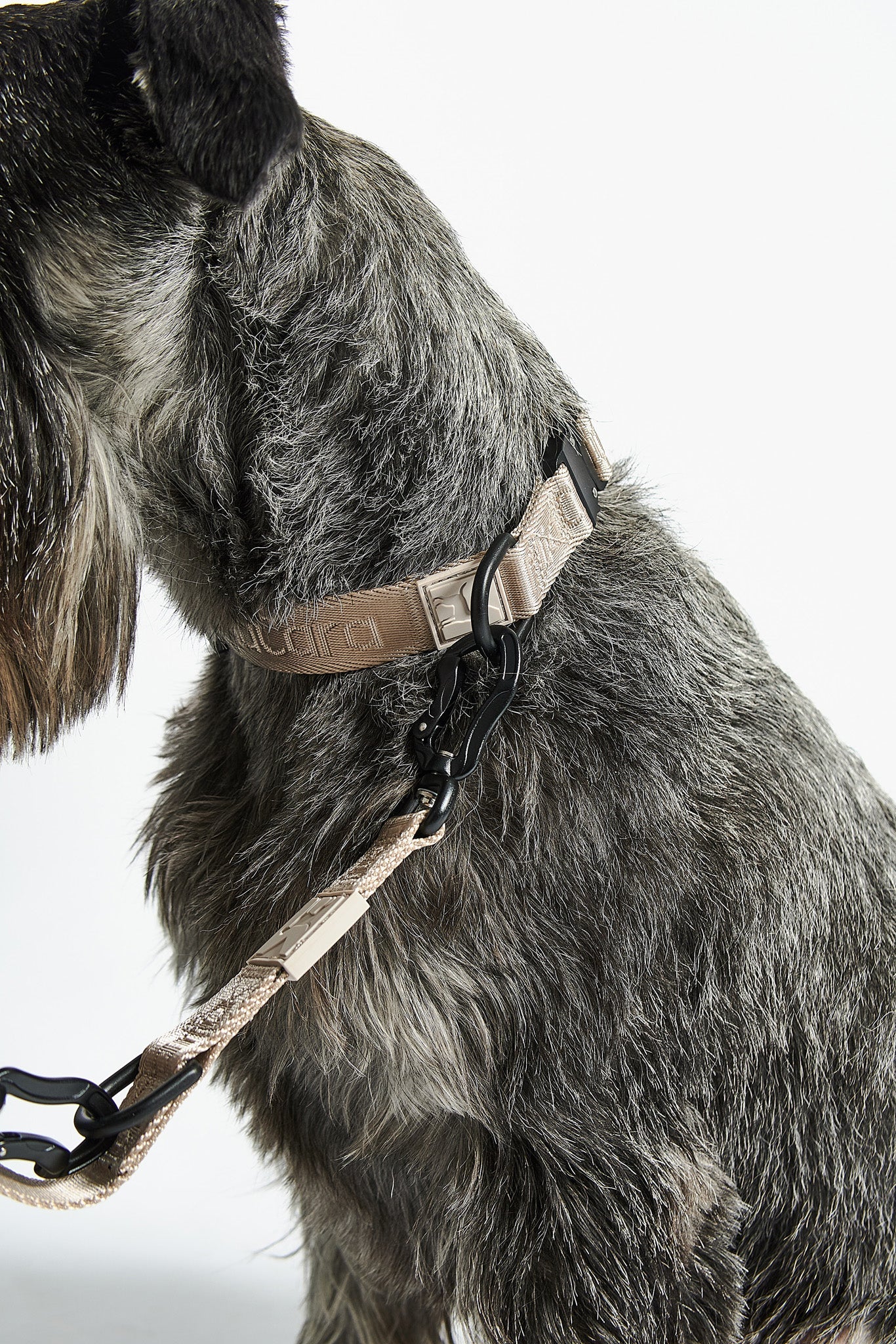 Modena Jacquard Collar