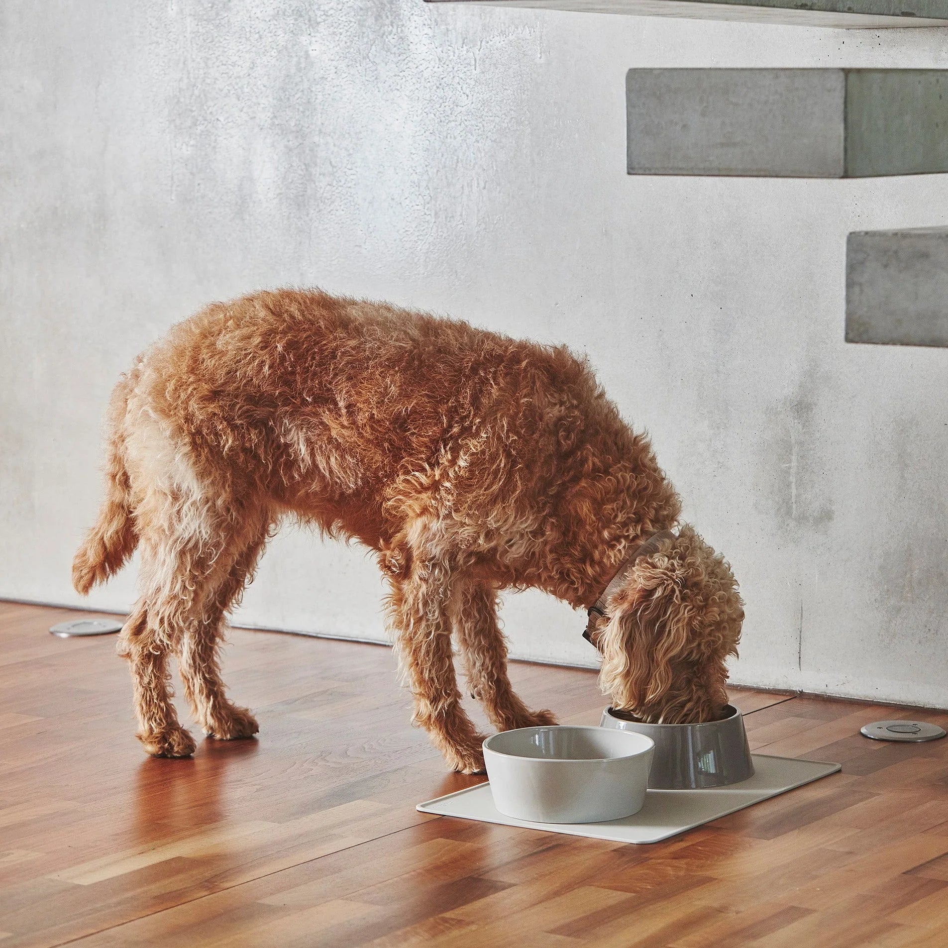 Tova Silicone Placemat