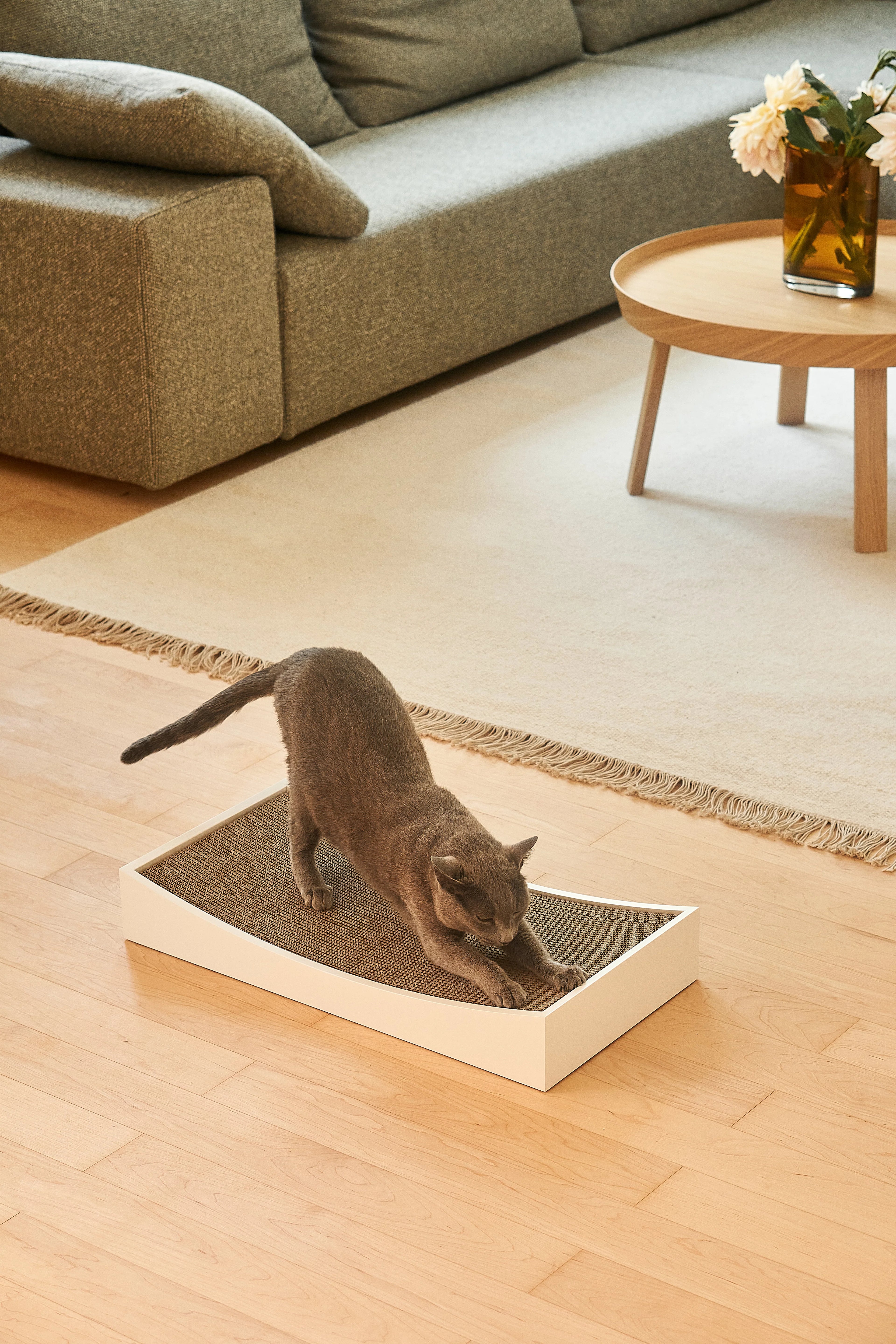 Gratta Lounge Scratcher