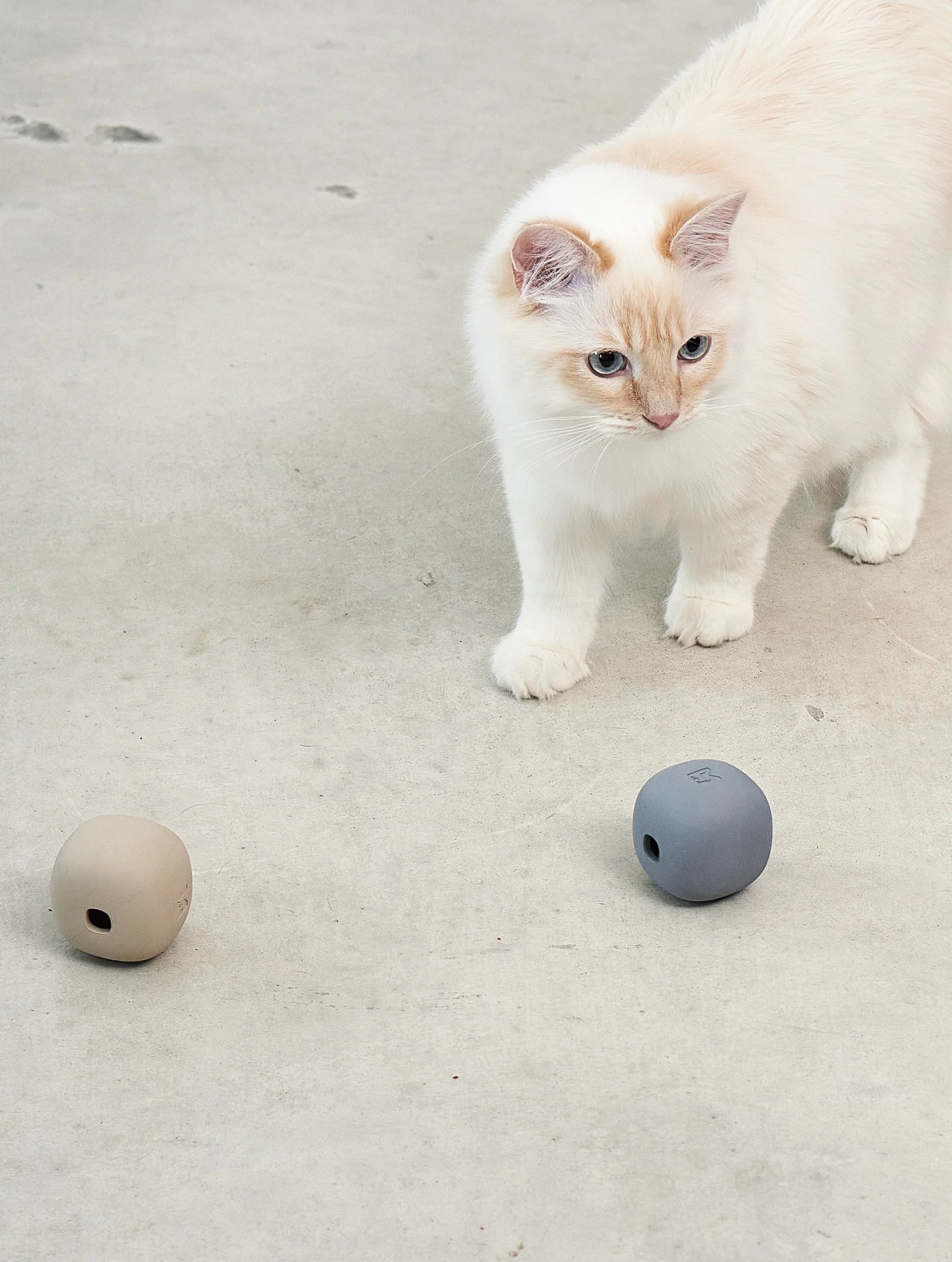 Rotolo Enrichment Roller