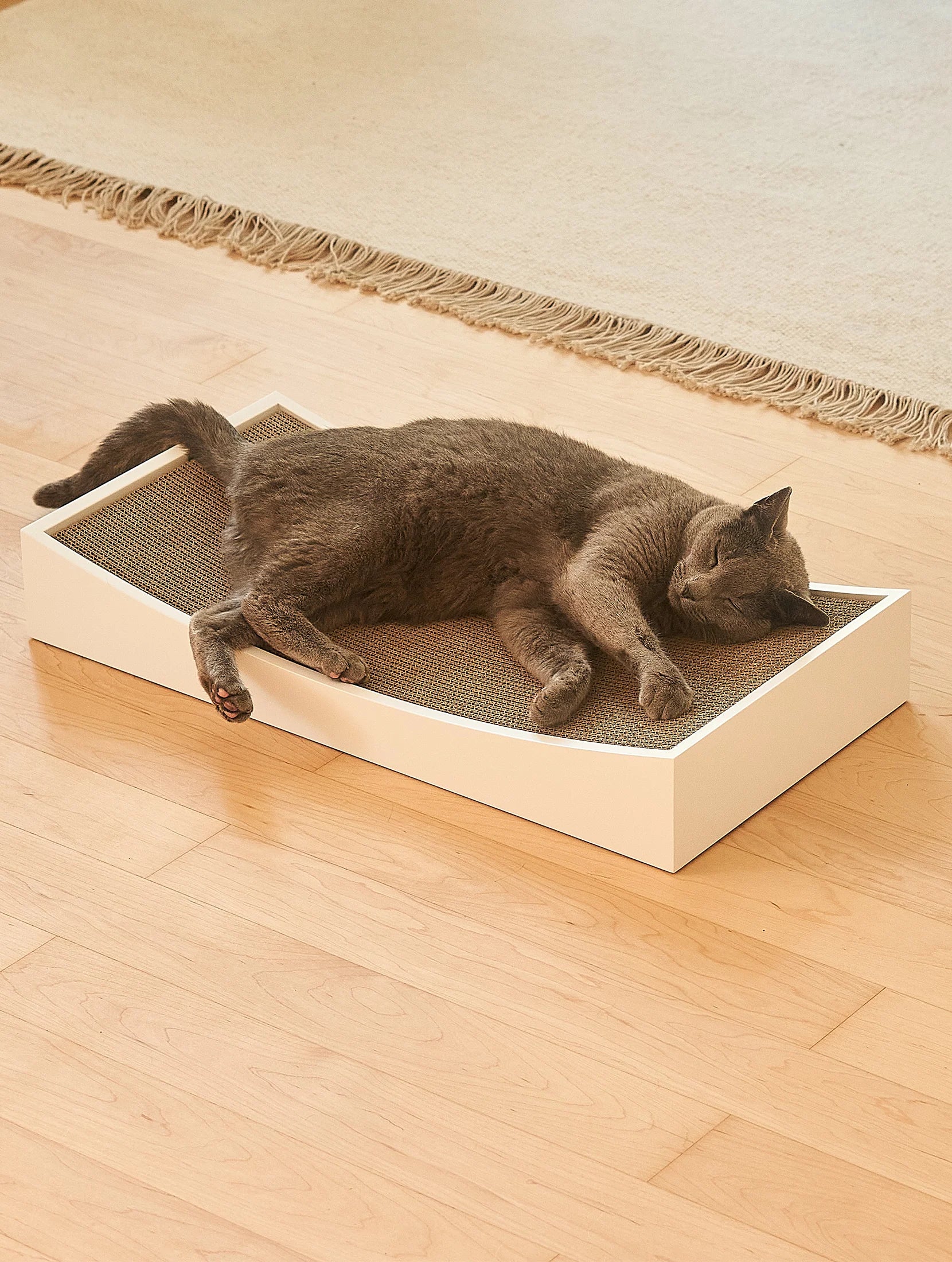 Gratta Lounge Scratcher