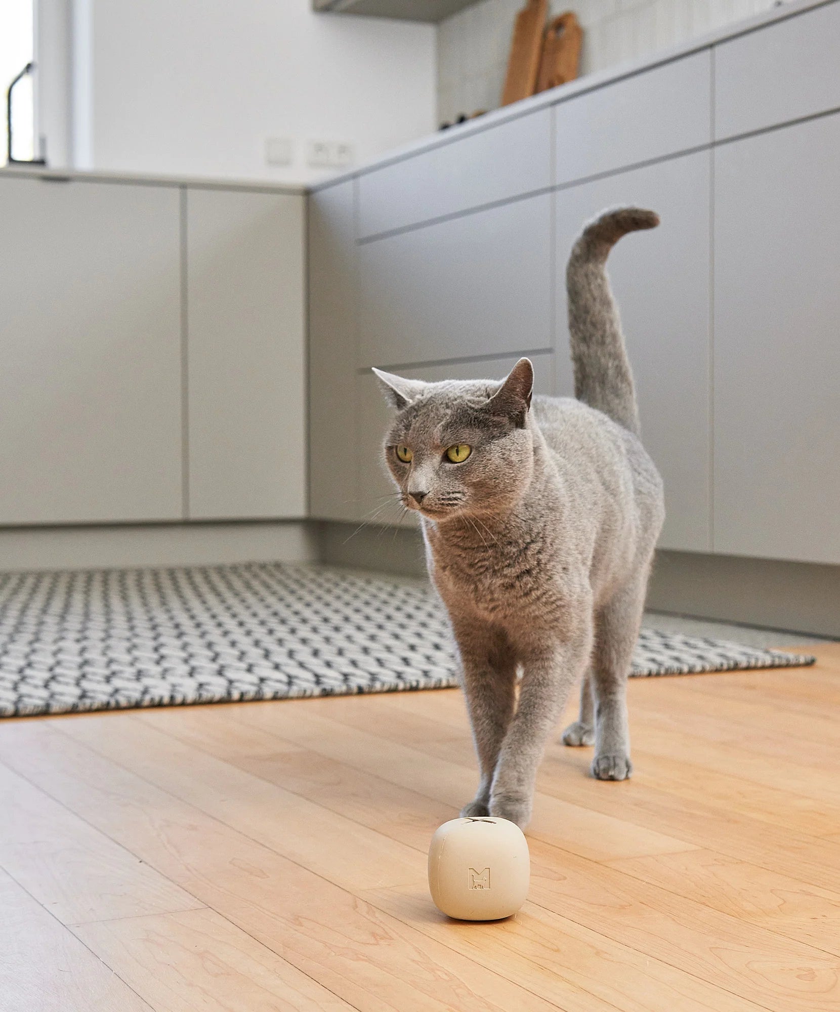 Rotolo Enrichment Roller